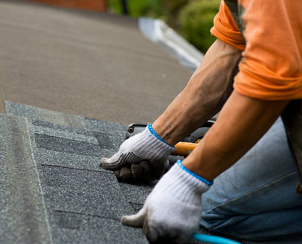 Best Roof Gutter Cleaning  in Thompsons Station, TN